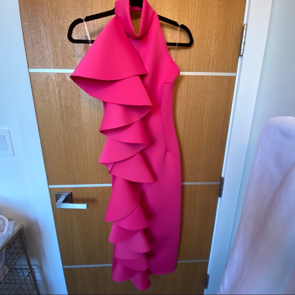 Ruffled Magenta Dress